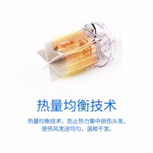 【积分兑换】飞科(FLYCO)电吹风机家用FH6251负离子可折叠吹风筒 1600W